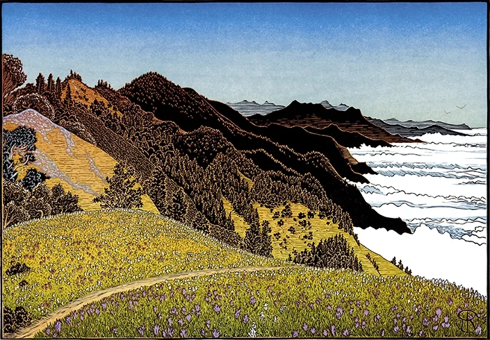 Timber Top, Big Sur — Tom Killion